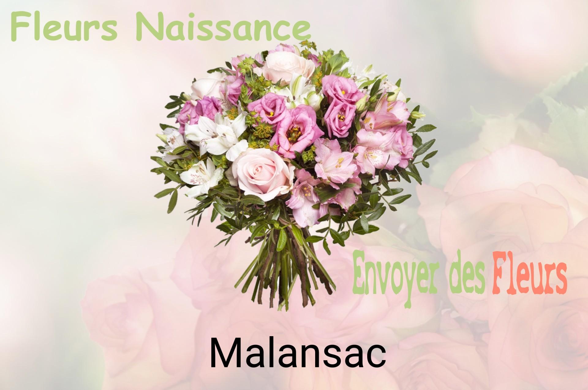 Bouquet de fleurs de naissance livré à Malansac